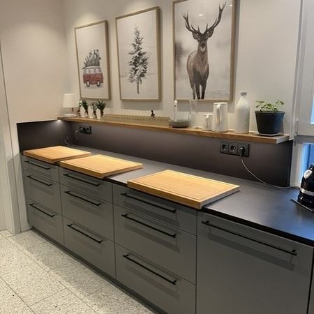 Eine Küche mit einer großen Arbeitsfläche und zwei Bildern von Rehen an der Wand.